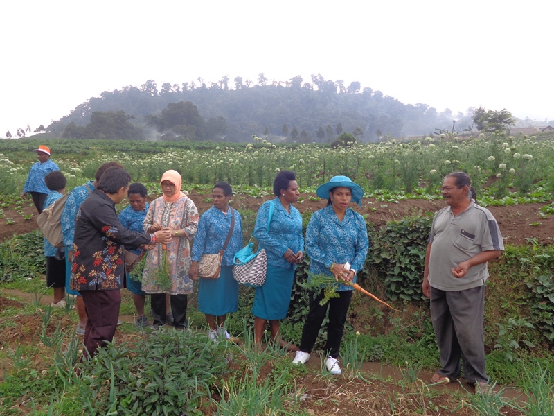 KUNJUNGAN PKK